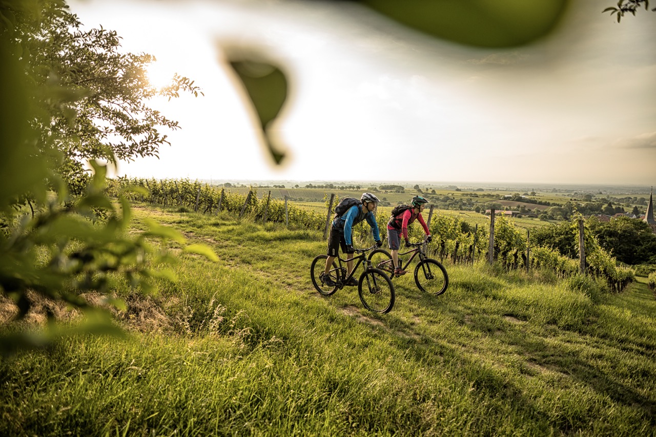 Groß (world_of_mtb_Pfalz_Suedliche_Weinstrasse_13 - Stephan Marx)
